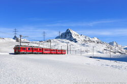 049933b7-7ebf-40e8-a3b5-fdb18c9a5767