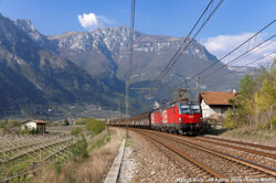 80fbf9dd-5828-4a5c-8df1-deecd0e568ed