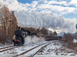 img_1396.jpeg img_1396.jpeg