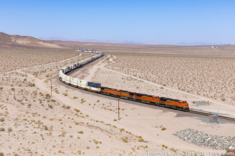 img_5901.jpeg img_5901.jpeg