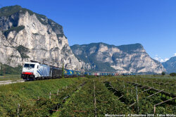 305d1c5d-c4e9-48c8-9baa-416f375f7e46