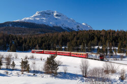 428322cd-a5a2-4a9c-879f-025b2fda2a0c