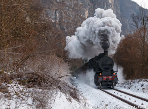 img_1415.jpeg img_1415.jpeg