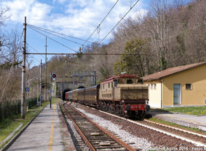 img_2934.jpeg img_2934.jpeg