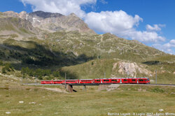 984c3572-bb68-4f5d-8b47-9aab385baf9c