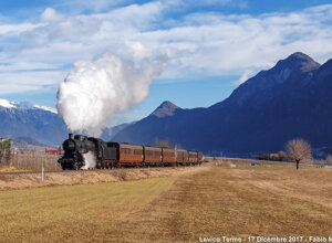 img_1362.jpeg img_1362.jpeg