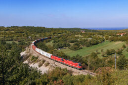 c7f82c81-a44e-4429-b7ae-66b312aa967a