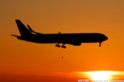 e98dd5ed-f3f4-41f8-833e-f9330fe4247a