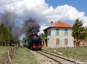 img_3244.jpeg img_3244.jpeg