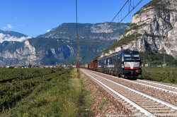 36983933-c48a-44e5-a70a-f5c30b74855b