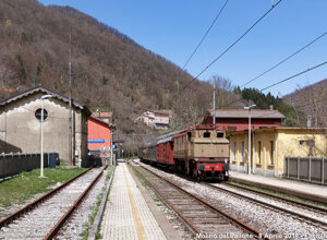 img_3221.jpeg img_3221.jpeg