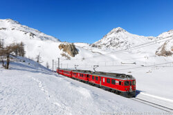 4d3cd2a1-4428-4b9a-8541-b1aca1e16783