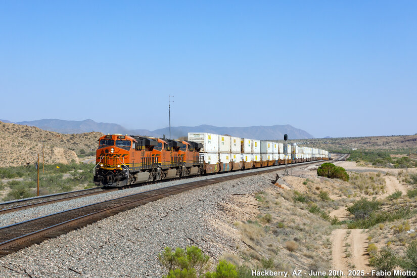 img_6235.jpeg img_6235.jpeg