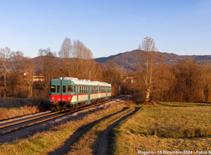 img_4041-migliorato-nr.jpeg img_4041-migliorato-nr.jpeg