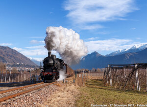 img_1422.jpeg img_1422.jpeg