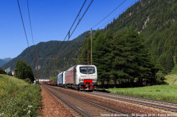 c5e17f81-9d9c-44e2-8418-16999c481c4f