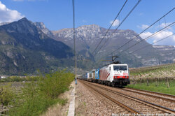 e95aad8d-0677-4118-af5d-930dbc0eed16