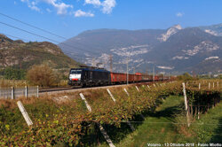 367d3e91-8d5f-43b4-bb62-3dae03cdf42b