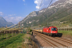 e61b2683-f81c-4373-a584-9566485a4258