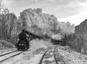 img_6353_bn.jpeg img_6353_bn.jpeg