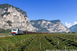 95ef1258-a383-402f-ad30-a0b33e08bbfe