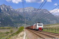 50866239-f7d1-4def-9369-aa2f85296b48