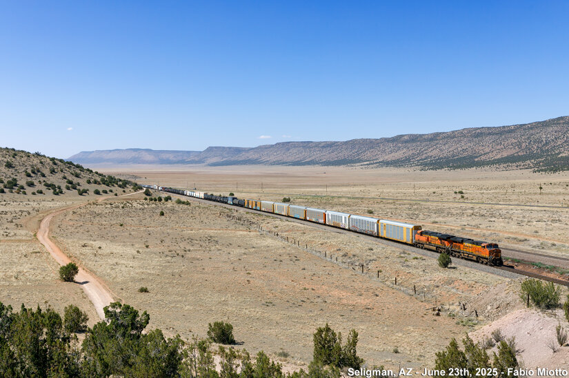 img_6712.jpeg img_6712.jpeg