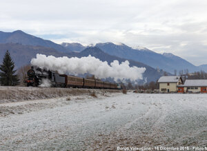 img_0463.jpeg img_0463.jpeg