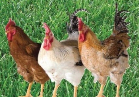 27f13c95-87a6-43cd-8d61-37b19f3a3a38