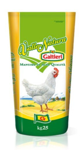 4cdd5d1c-b9d0-404b-b668-d93964c879a0