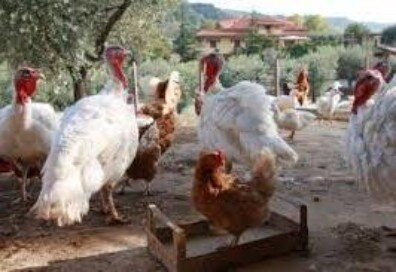 31bf8c46-9bad-4fd0-ad90-a83989ca2675