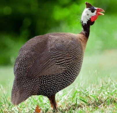 62b3bd7c-d681-4080-9d61-3ee7ae3452c9