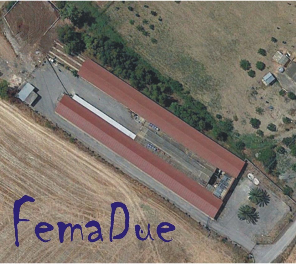 femaduefotosatellite_2