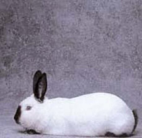 6617eae8-c138-409b-9c64-3e5dda6d57d1