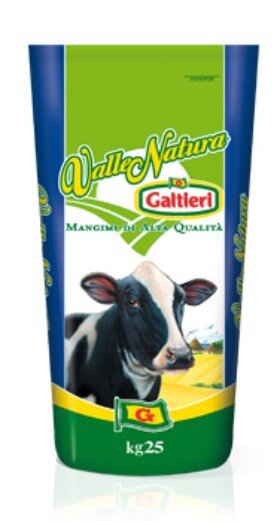 10768a4a-73d7-487a-8490-4101d3f597de