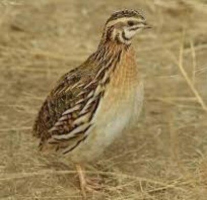 a419346a-7584-4302-a87a-5ef6bafdb40b