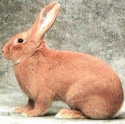 b8131282-cb9f-4cd1-97cd-be6613dd769a