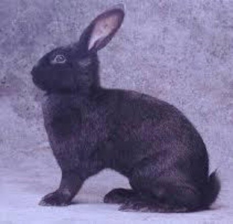 55cf0a19-4f64-41d5-82a5-c4918d7c2d47