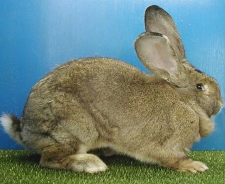 740a789e-8e6c-4a29-98b4-a6b85435638c