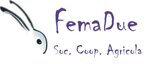 logoufficialefemadue1_1