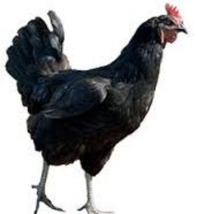 81a5dadb-2743-4a89-8134-dd218a2437b7