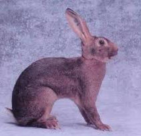 25ebddd5-bc20-4ed9-a74d-d6b6f65b3e40