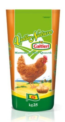 2d2d718c-656f-40d9-b7c6-7e7880df313d