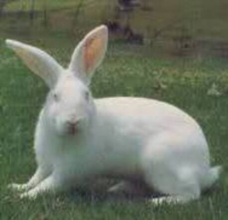 2fcf00d9-7eb1-42b8-b37d-9c5e4ac8f8f2