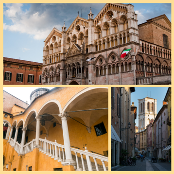 55463ece-eb16-4999-875b-bf8b3cc1257a 55463ece-eb16-4999-875b-bf8b3cc1257a