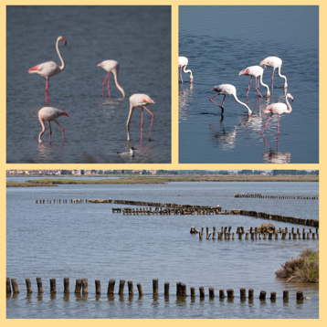 903a0d78-9778-4846-8357-c3594597d1eb 903a0d78-9778-4846-8357-c3594597d1eb