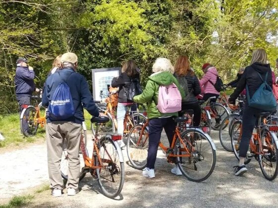 27bf1eca-c52d-48a5-b29e-326f10cb6bfe