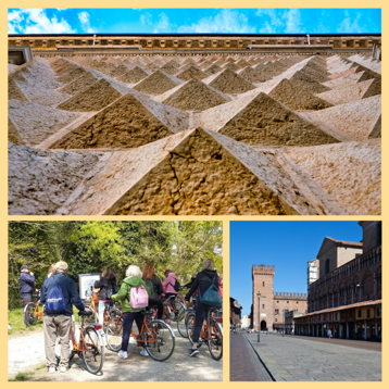 ffd0b19b-cefe-4c84-97d5-ab62f3528055 ffd0b19b-cefe-4c84-97d5-ab62f3528055