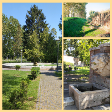 29cabdfc-2210-47a3-9836-414410c347e6 29cabdfc-2210-47a3-9836-414410c347e6