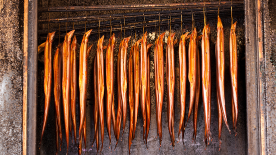 f251b8f8-1c72-4d9c-9e8b-eb3fe84a46ad f251b8f8-1c72-4d9c-9e8b-eb3fe84a46ad